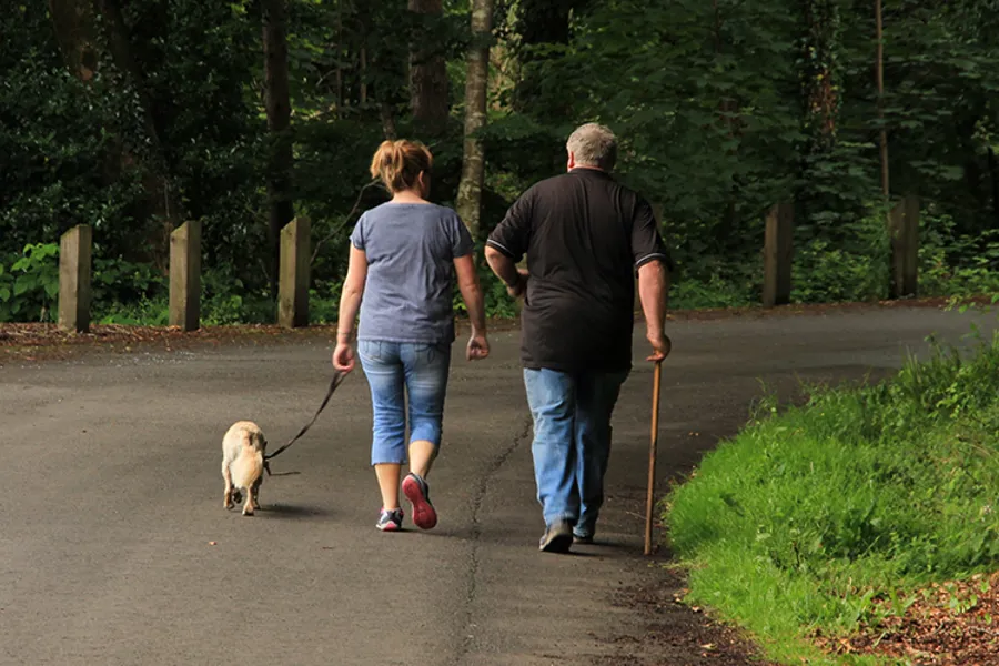 En mann og kvinne som går tur med en hund på en sti i skogen